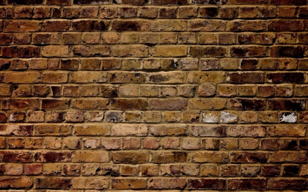 Bricks - abstract, bricks, brown, texture, wall