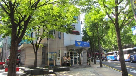 Police station - Korea, Police station, street, tree