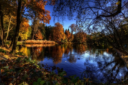 Autumn Nature - fall, trees, water, reflection