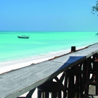 Relaxing Bar on Beach