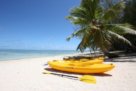 Yellow Canoes on Beach South Pacific - yellow, lagoon, blue, canoes, fiji, beach, boat, island, polynesia, sand, south pacific, sail, exotic, paradise, canoe, sea, ocean, islands, white, tropical