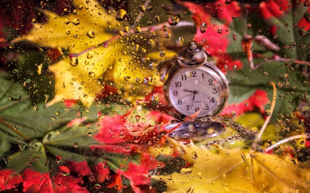 Autumn Rain - water, autumn colors, splendor, drops, clock, still life, leaves, fall, autumn, waterdrops, rain, autumn splendor, autumn leaves