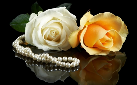 *** Pearls and roses reflections *** - nature, pearls, flawer, roses, flawers