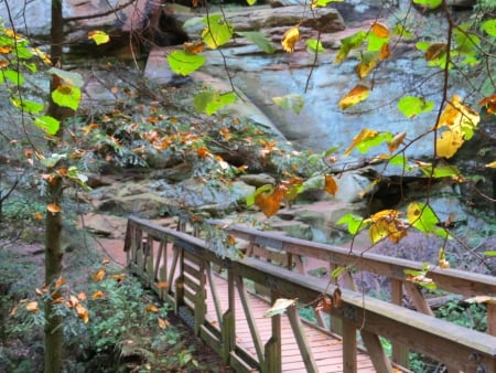 Wooden Bridge to the Trail - autumn, pine, leaf, rockbridge, path, hike, fall, trail, hocking hills, architecture, cave, bridge, ohio, september, nature, october, forest, leaves