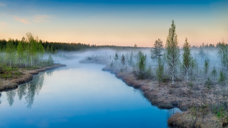 *** Blue river *** - river, trees, nature, fogg, blue