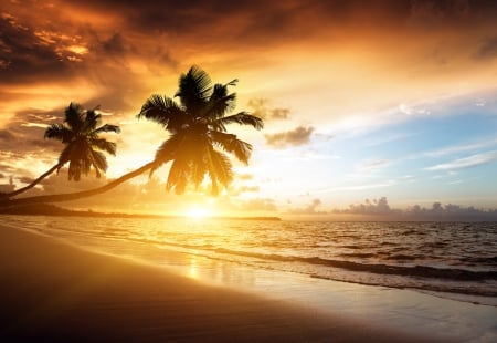 beach - nature, sunrse, beach, ocean, sunset