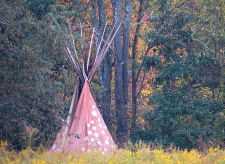 No Cell Phones Please! - forest, indian, ohio, shelter, field, t-pee, camping, house, nature, hut, autumn, lodging