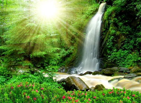 Sunny waterfall - pretty, summer, stream, grass, forest, light, flowers, paradise, nice, falling, greenery, sunlight, water, beautiful, sunshine, lovely, stones, fall, dazzling, glow, nature, waterfall, rays, green