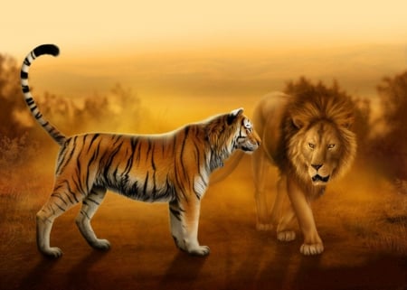 TIGER & LION - cats, animals, tiger, lion