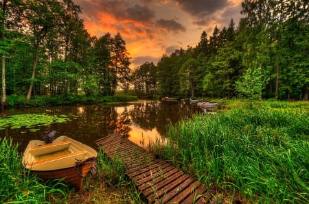 Boats at the River - sky, pier, trees, sun, water, colors, sunset