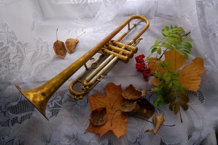 Fall Season - trumpet, instrument, autumn, colors, leaves