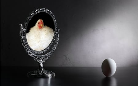 Still life - egg, chicken, mirror, Still life