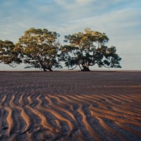 ripples in the sand