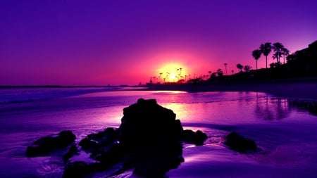 gorgeous purple sunset - nature, purple, beach, trees, reflection, sunset, sea, rocks