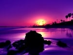 gorgeous purple sunset