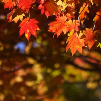 October in Japan