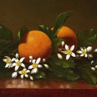 Fragrant Orange Blossoms