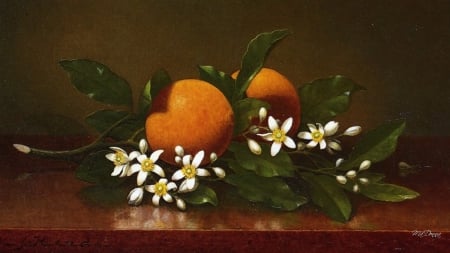 Fragrant Orange Blossoms - flowers, blossoms, oranges, fruit, fragrant, still life, leaves