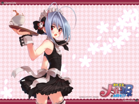 Yuki - manga maid, crossdresser, anime maid, crossdressing, yuki, anime girl, manga, cherry girls, maid, otoko no ko wa maid fuku ga osuki, anime guy