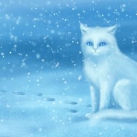 Cat in snow