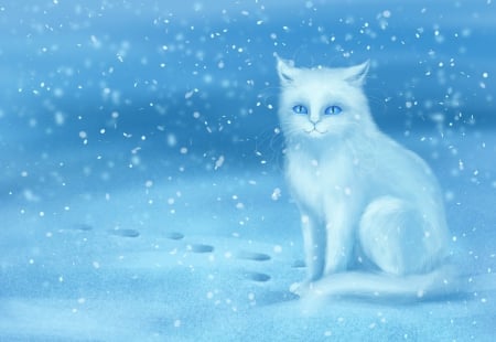 Cat in snow - snowflake, cat, blue, snow