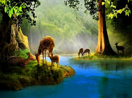 Hideaway - river, trees, deer, der, animals