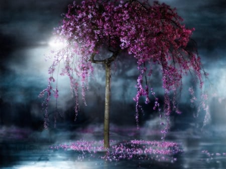 MAGIC DREAMS - purple, tree, wishing, magic