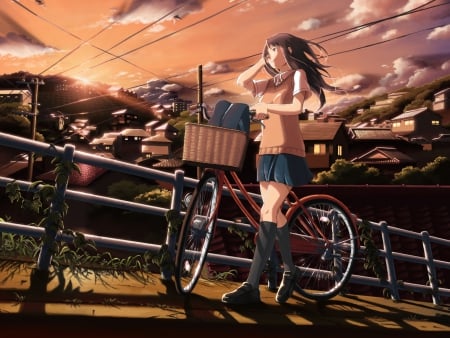 An Afternoon Stroll - sky, houses, girl, bike, long hair, sunset, bird, clouds, anime, uniform, afternoon