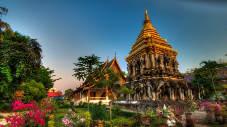 gorgeous wat chiang man temple in thailand - gardens, flowers, trees, temple