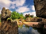 flamingos in a gorgeous park  hdr