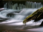 Forest Waterfall