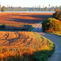 Autumn morning.