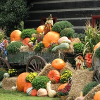 Fall Season Scarecrows