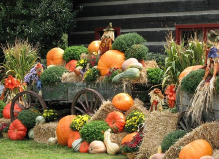 Fall Season Scarecrows - pumpkins, scarecrows, nature, fall season, autumn