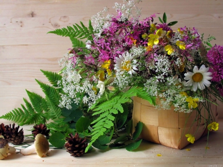 Wild flowers from the garden - beauty, mushrooms, freshness, basket, still life, nature, purple, pink, wild, pine cones, green, flowers, daisies, garden, ferns