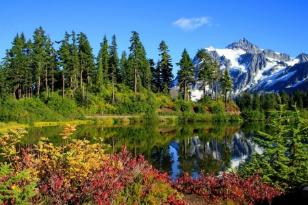 Mount Shuksan - nice, sky, calm, quiet, reflection, snowy, grass, cliffs, lake, mountain, mount, summer, shore, majestic, lovely, peak, serenity, nature, shuksan, blue, beautiful, flowers