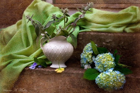 Blue hydrangea -  Still life - blue, brown, purple, art, artist, abstract, delicate, beautiful, photography, simple, still life, hydrangeas, vases, natural, white, nature, photographer, green, arrangement, soft, vintage, floral