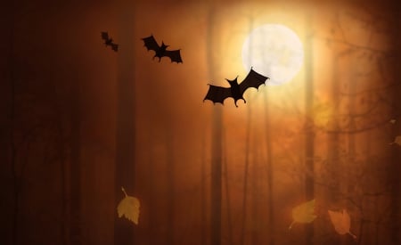 Halloween Bats - moon, bats, Autumn, trees, Fall, forest, full moon, leaves