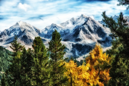 Great Mountain Landscape! - nature, landscape, mountain, trees