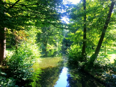 green passage - nature, green, river, sun