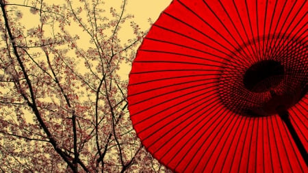 Traditional Umbrella - japan, macro, red, umbrella, oriental, photo, asia