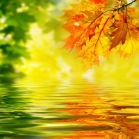 Autumn background