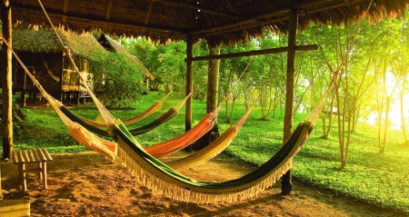 Panorama Beach hammocks - beach, sea, island, polynesia, ocean, sand, south pacific, islands, tropical, panorama, exotic, hammocks, paradise