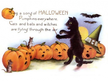 Halloween Musicians - bats, pumpkins, seasonal, mice, cat