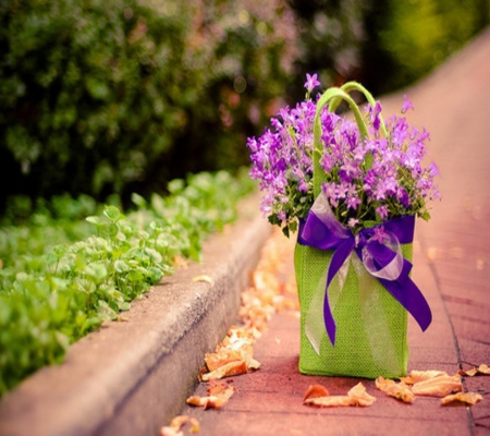 Purple ✿.❀ - flowers, basket, purple, garden, ribbon, box, lovely, plant