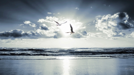 Flying in the Light - clouds, birds, water, blue, sea, ocean, heavenly, sea gulls, waves, sky