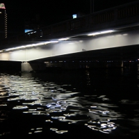 The solitude of the night river