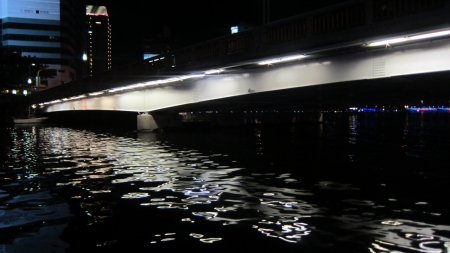 The solitude of the night river - night scene, reflection, light, river, solitude