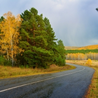 Autunn Landscape in Gold & Green