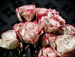 *** Roses ***